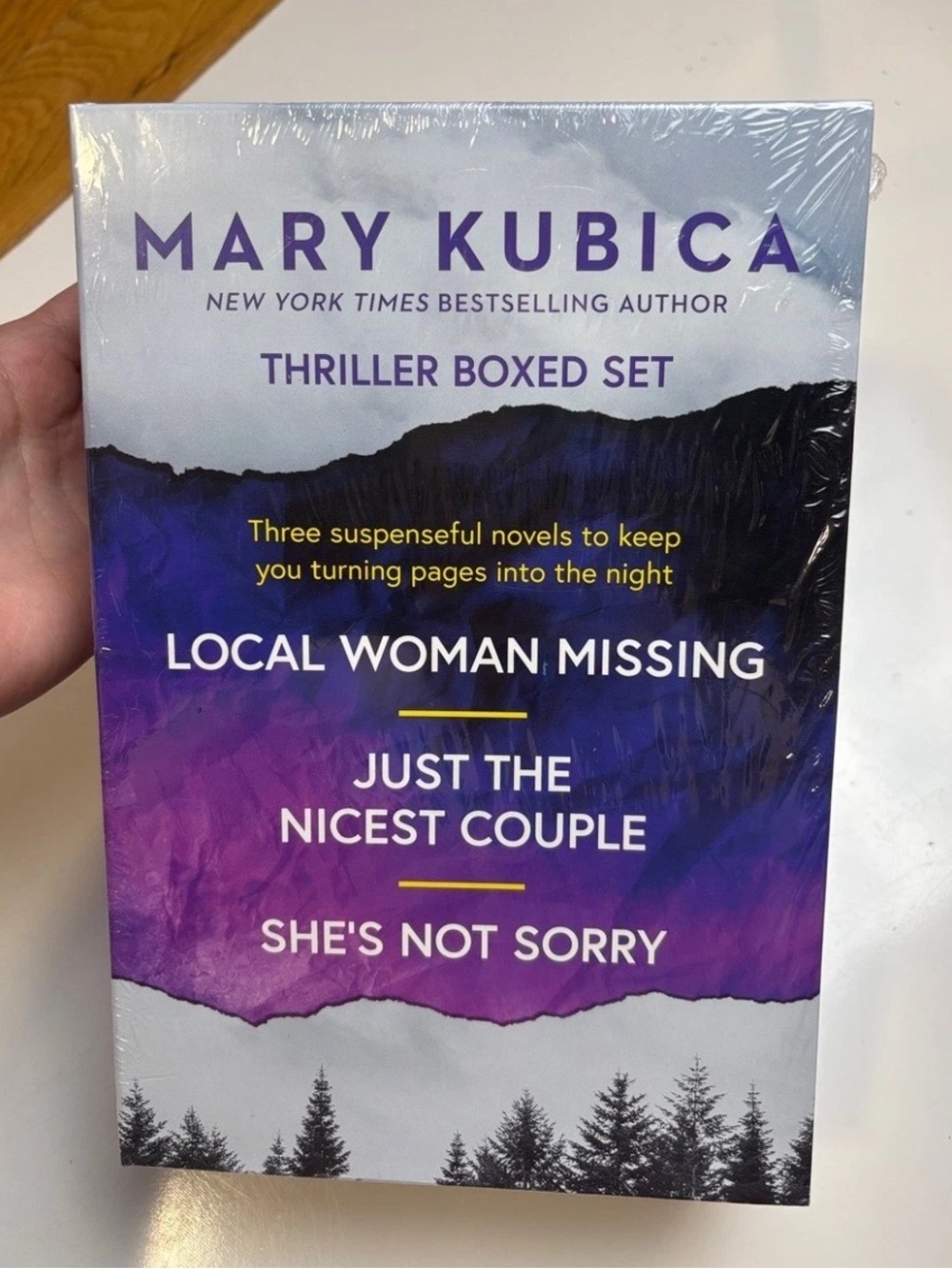 Mary Kubica 3 pack thriller box set books NWT